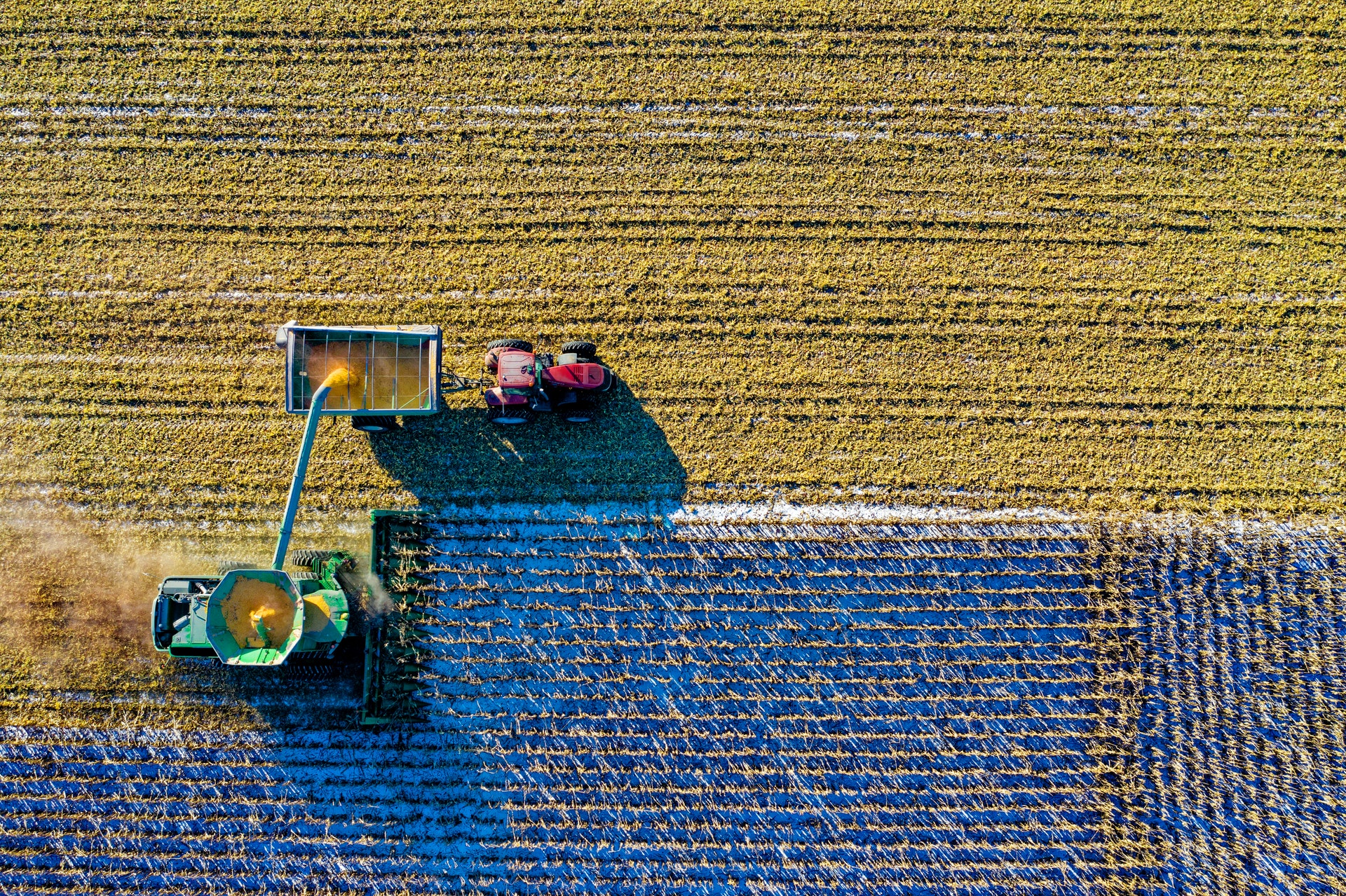 Tractor collecting crops